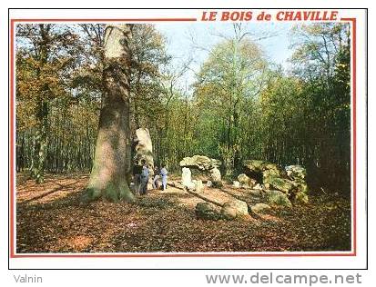 LE BOIS DE CHAVILLE - Chaville