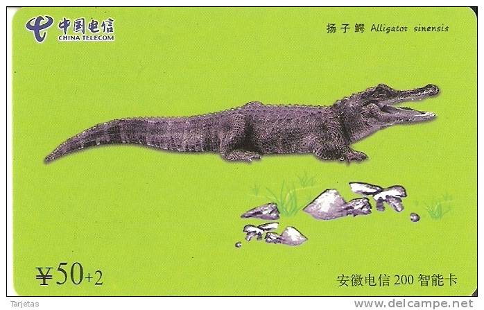 TARJETA DE CHINA DE UN COCODRILO (COCODRILE) - Krokodillen En Alligators