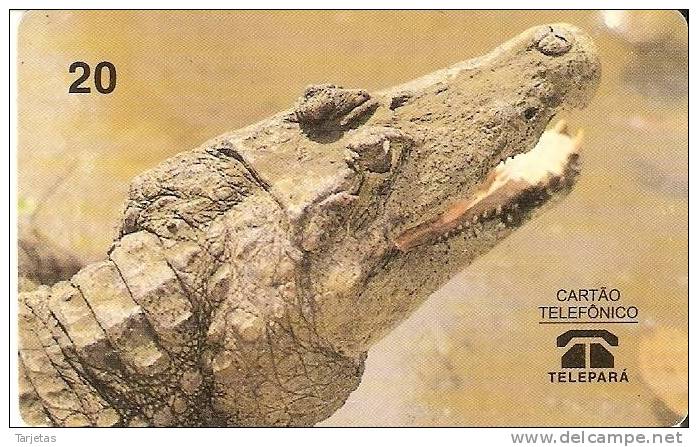 TARJETA DE BRASIL DE UN COCODRILO (COCODRILE) - Krokodillen En Alligators