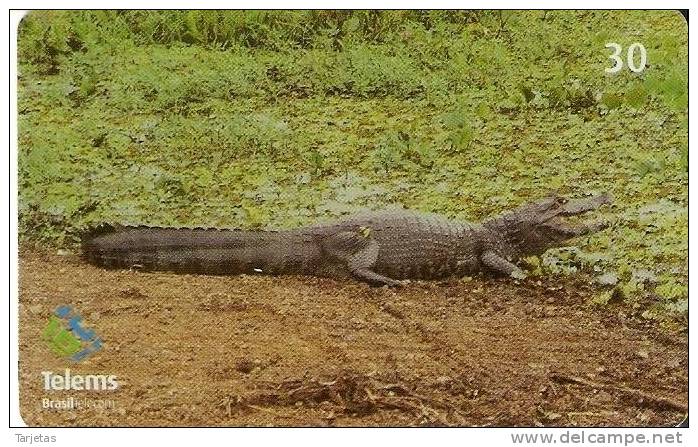 TARJETA DE BRASIL DE UN COCODRILO (COCODRILE) - Crocodiles And Alligators