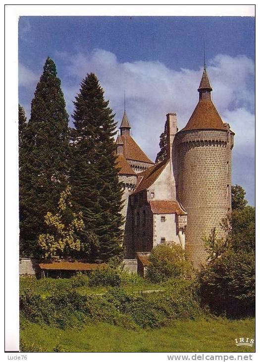 CHENERAILLES -  Le Château D´ ETANSANNE   XVè S.  - N°  23  175 - Chenerailles