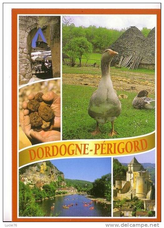 DORDOGNE - PERIGORD -  N° 24013    5 Vues - Midi-Pyrénées