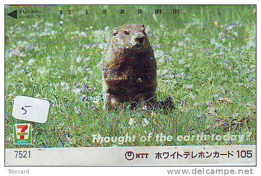 7 Eleven (5) Thought Of The Earth Today - Publicidad