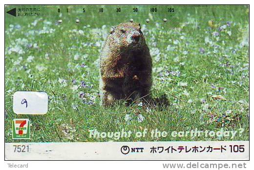 7 Eleven (9) Thought Of The Earth Today - Publicidad