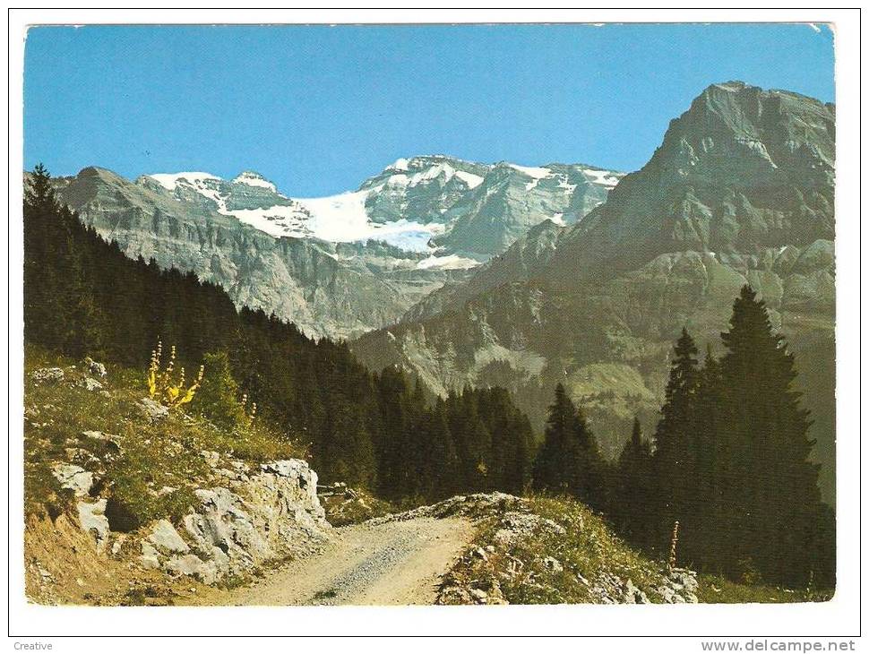 Champéry ,Route De Planachaux,Tour Sallière,Mont Ruan Et Dent De Bonaveau - Champéry