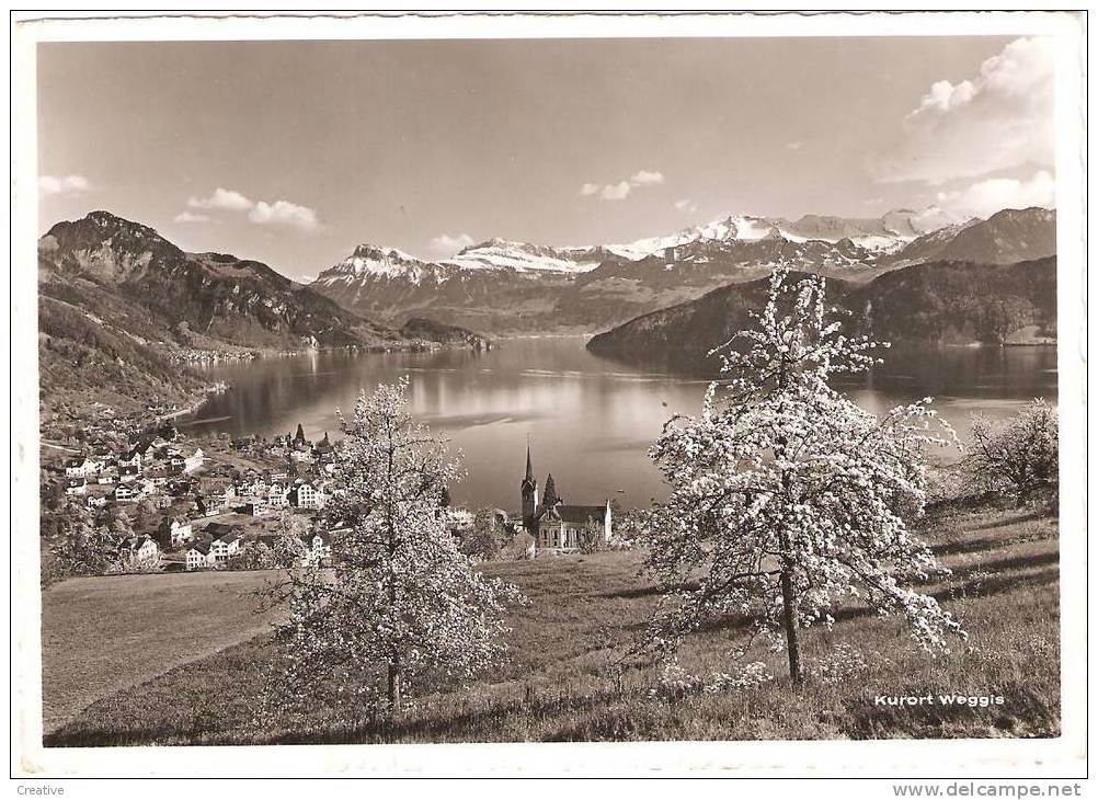 Kurort Weggis  Am Vierwaldstättersee  1955 - Weggis