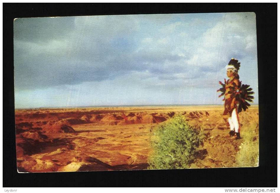 Arizona's Painted Desert - Indiens D'Amérique Du Nord