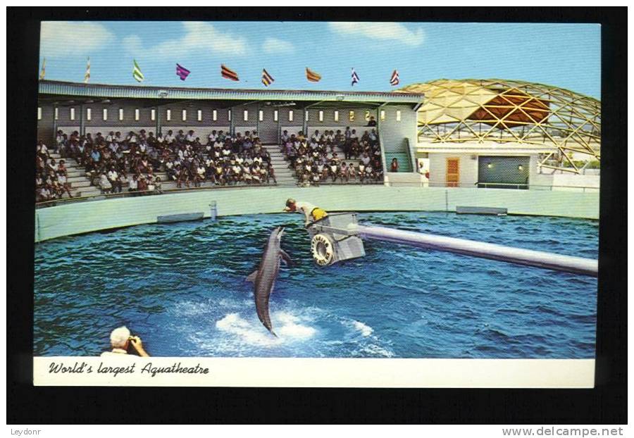 Dolphin - World's Largest Aquatheatre - Aquatarium Is Located On The Gulf Of Mexico St. Petersburg Beach, Florida - Dauphins