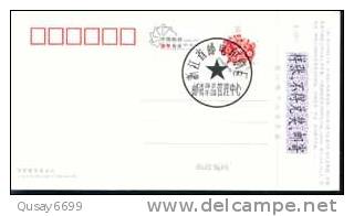 Swan  Bird, Specimen  Pre-stamped Card , Postal Stationery - Cygnes