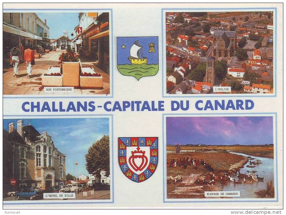 SUPERBE CPM..DE..CHALLANS..BELLE MULTIVUES DE LA VILLE..RUE PIETONNE..L EGLISE..L HOTEL DE VILLE..ELEVAGE DE CANARDS.. - Challans