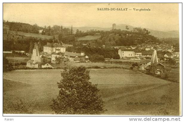 31 CPA   Salies- Du -Salat   Vue  Générale   Sépia TBE - Salies-du-Salat