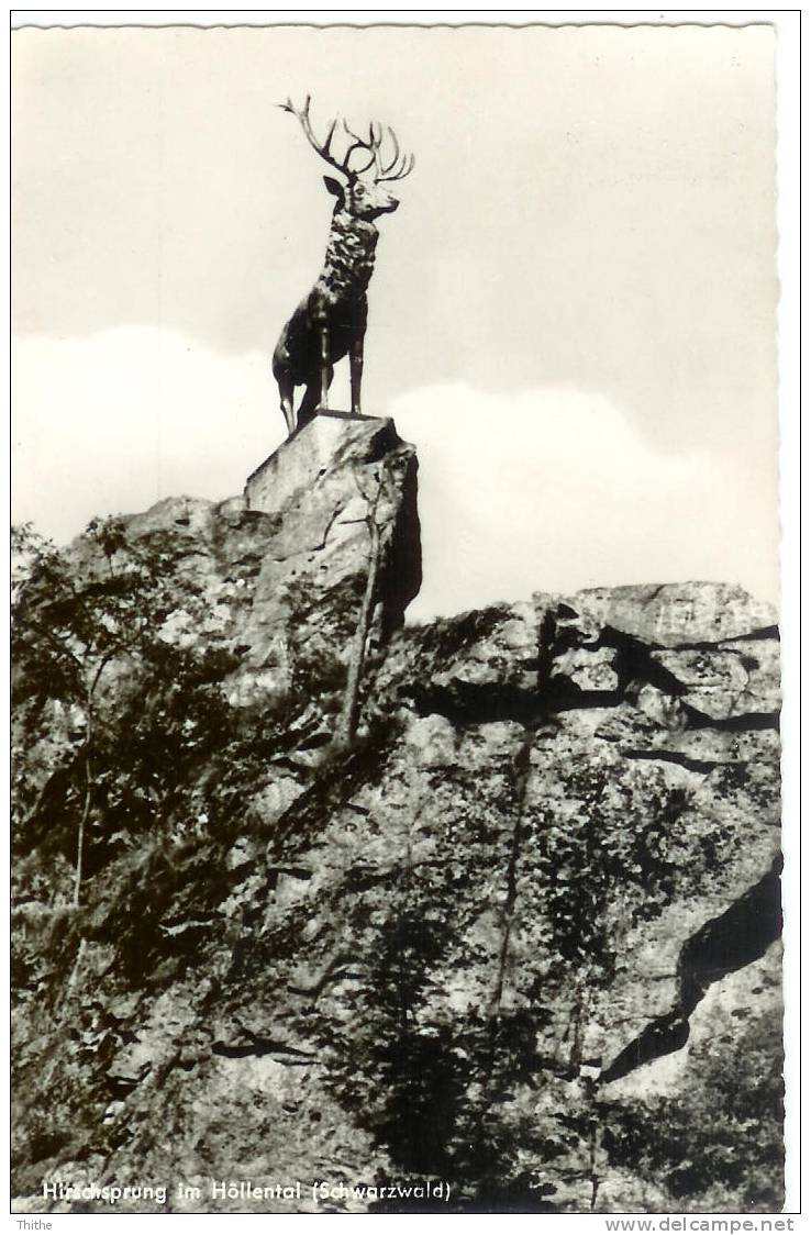 Hirschsprung Im Höllental - Höllental