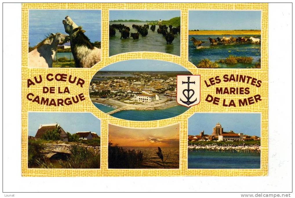 LA CaMARGUE - LES SAINTES MARIES DE LA MER: Pays De Ciel Bleu Et De Mirage - Bessèges