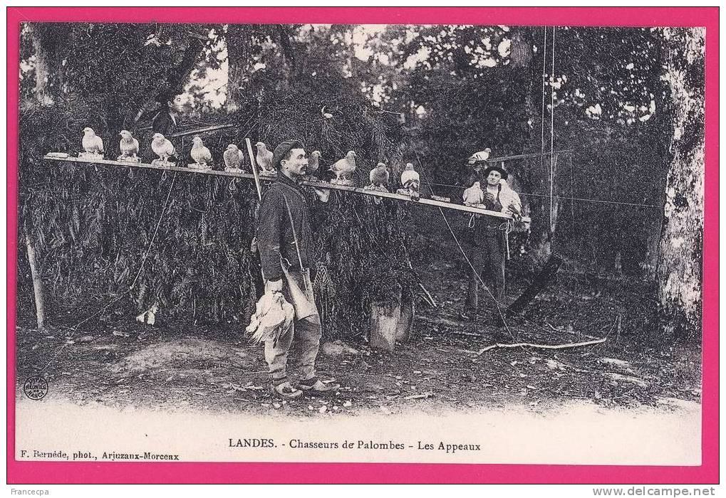 0489 - REPRODUCTION - LANDES - Chasseurs De Palombes - Les Appeaux - Autres & Non Classés