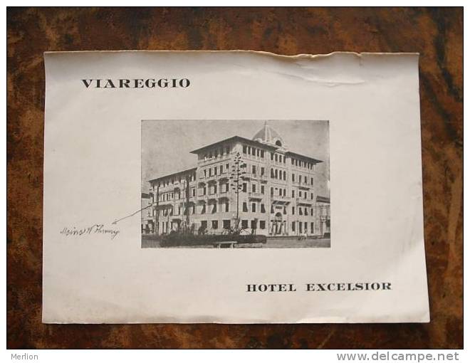 Viareggio - Hotel Excelsior -  Lucca  Italia Italy  1920-30´s  D15302 - Andere & Zonder Classificatie