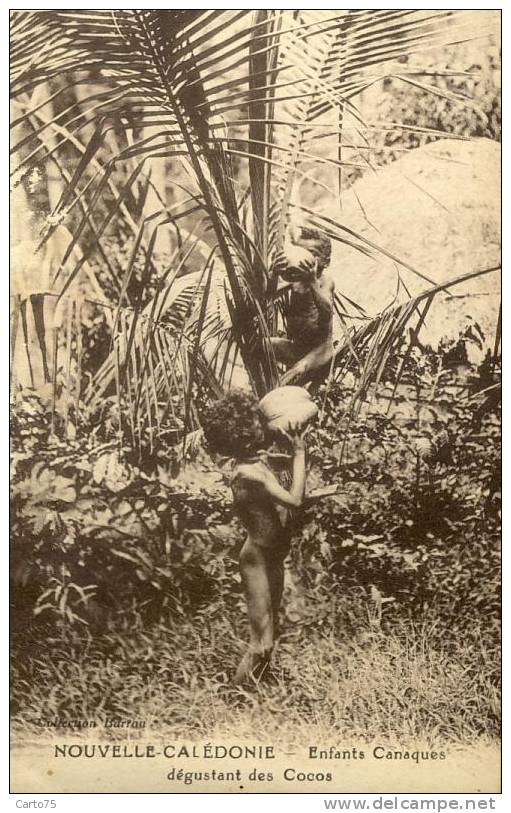 NOUVELLE CALEDONIE - Enfants Canaques Dégustant Des Cocos - Nouvelle-Calédonie