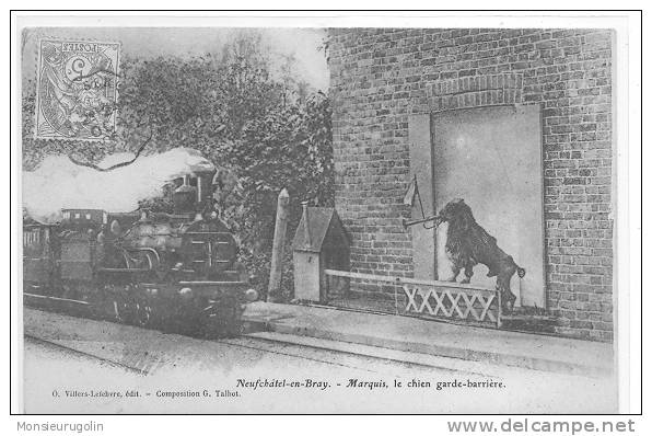 76 )FL) NEUFCHATEL EN BRAY, Marquis, Le Chien Garde Barrière, + TRAIN, O Villlers Lefebvre édit - Neufchâtel En Bray