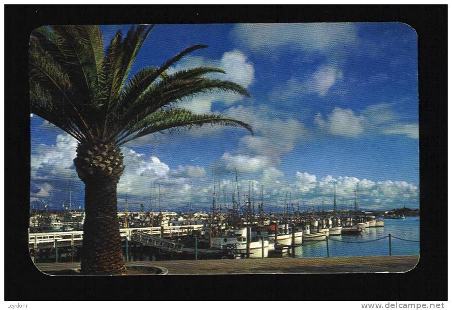 Fishing Pier, San Diego, California - San Diego