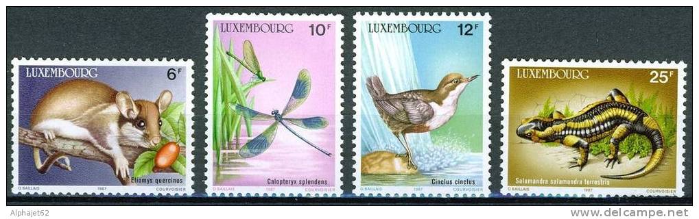 Rongeur, Libellule, Oiseau, Salamandre - Animaux Protégés - LUXEMBOURG - N° 1118 à 1121 ** - 1987 - Ungebraucht