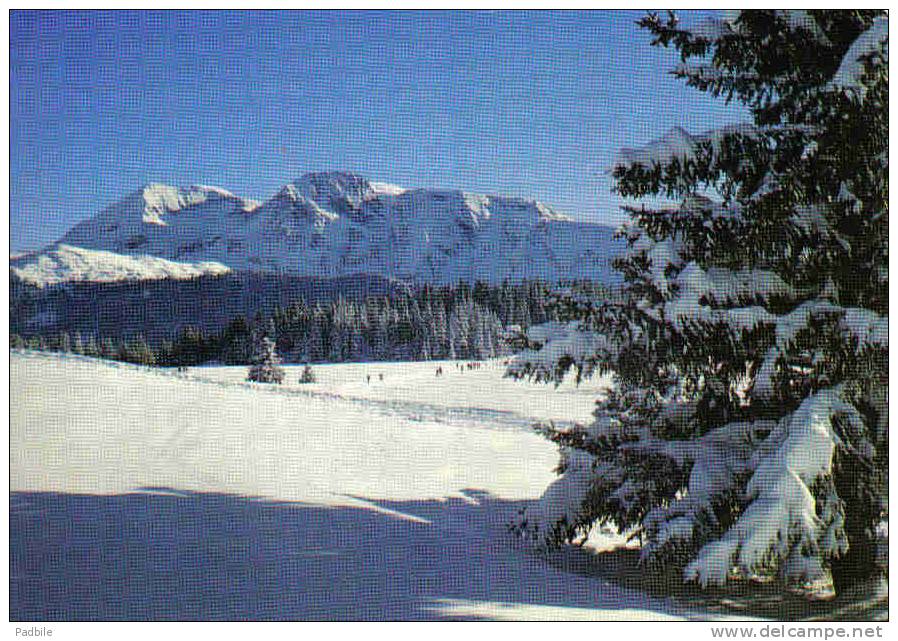 Carte Postale 38.  Chamrousse Et La Prairie De L'Arcelle  Et LeTaillefer Trés Beau Plan - Chamrousse