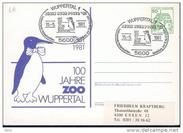 ALLEMAGNE CARTE ENTIER 1981 THEME POLAIRE ET MANCHOTS TB  10ANS ZOO WUPPERTAL - Other & Unclassified