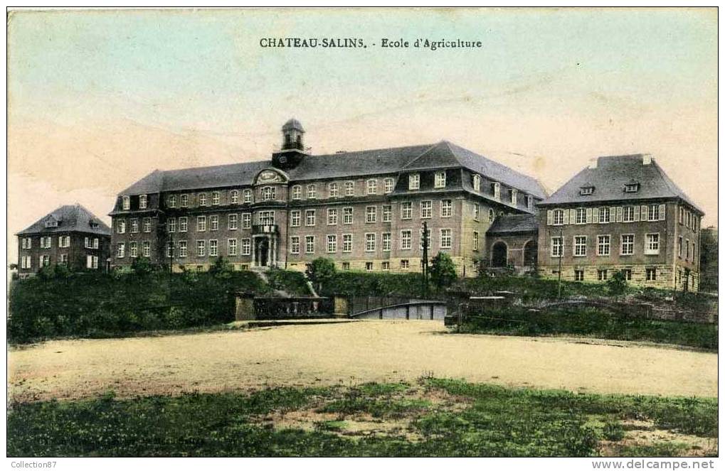 57 - MOSELLE - CHATEAU SALINS - ECOLE D'AGRICULTURE - Chateau Salins