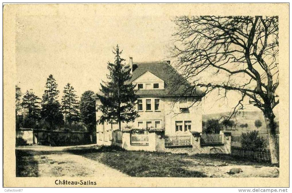 57 - MOSELLE - CHATEAU SALINS - VILLA - MAISON BOURGEOISE - Chateau Salins