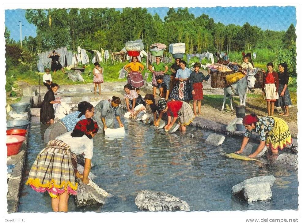 Portugal.Nazaré.Lavadeiras.Les  Lavandières. Belle Cpsm Coul. Costume. - Autres & Non Classés