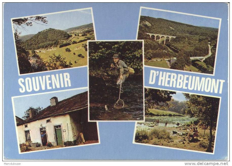 Herbeumont. Souvenir. 5 Vues: Viaduc Du Chemin De Fer, Pont De Conques, Pêcheur à La Truite, Semois, Maison Ardennaise. - Herbeumont
