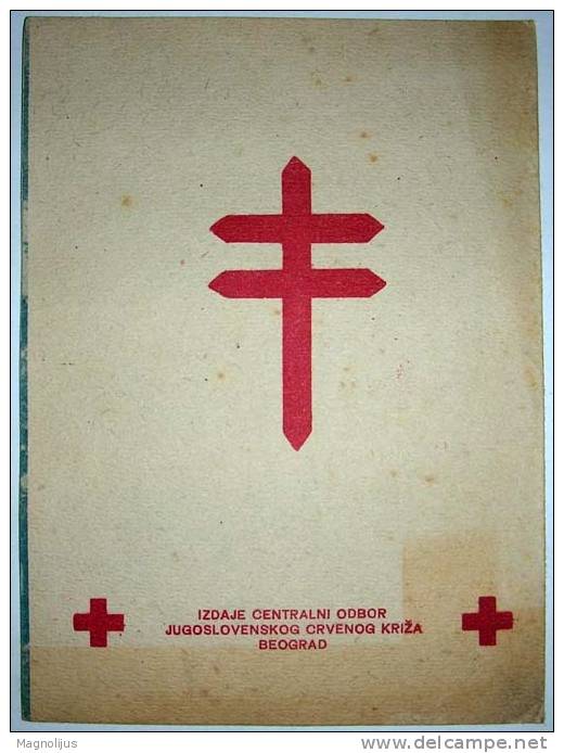 Medical Documents,Tuberculosis,Vaccination,Children,BSZ,Yugoslavia,Red Cross,Propaganda Sheet - Sonstige & Ohne Zuordnung