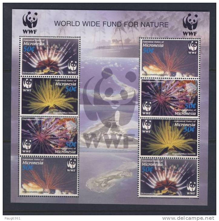 MICRONESIE  2005  : WWF-CORAUX SC N° NEUF MN**  LLL15 - Coneshells