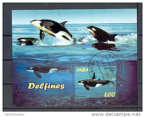 Dauphins Cétacés Cetaceo Wal   Cuba   2004   Bloc Feuillet Oblitérée - Dolphins