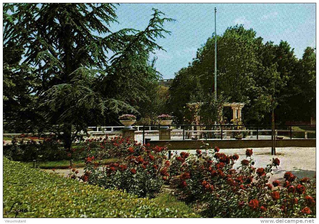 CPSM.  CHARENTON. LE JARDIN PUBLIC. - Charenton Le Pont