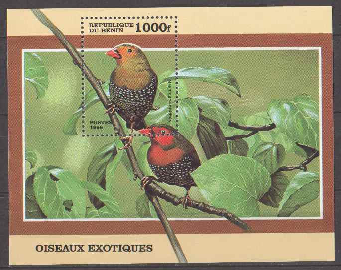 Benin Animaux Oiseaux N° BF 51 ** Le Mandingoa Nitidula - - Gallináceos & Faisanes