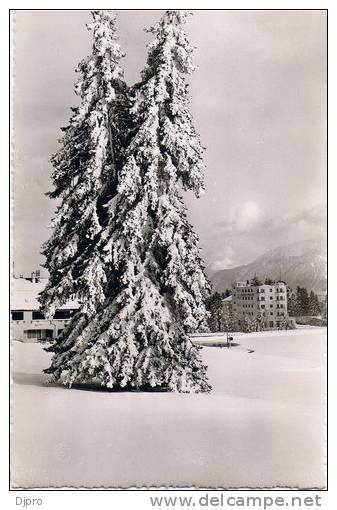 Crans Sur Sierre Alt 1500 M  Hotel Beau Sejours Et Sporting - Sierre