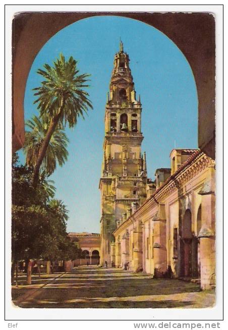 CORDOBA : Campanario Y Patio Mezquita ; 1956 ; B/TB - Córdoba