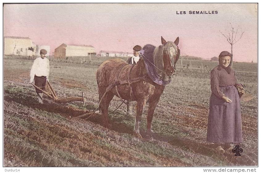 Agriculture / Les Semailles (Animée / Cheval / Labour / Belle Carte Couleur) - Fermes