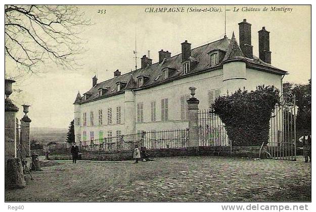 D95 - CHAMPAGNE -  Le Chateau De Montigny - Champagne Sur Oise