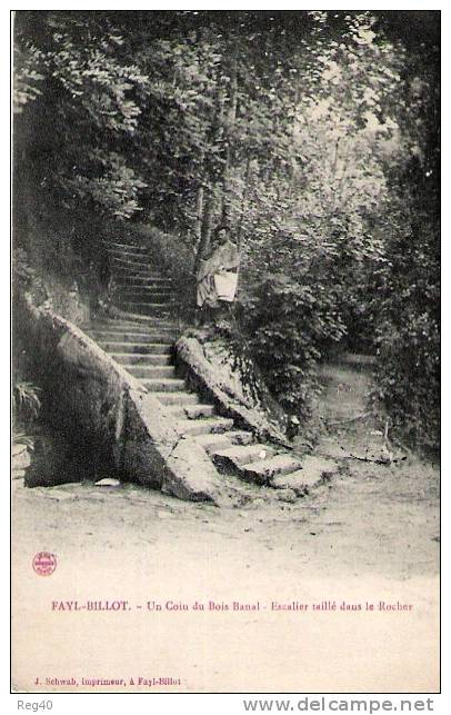 D52 - FAYL-BILLOT  -  Un Coin Du Bois Banal  -  Escalier Taillé Dans Le Rocher - Fayl-Billot