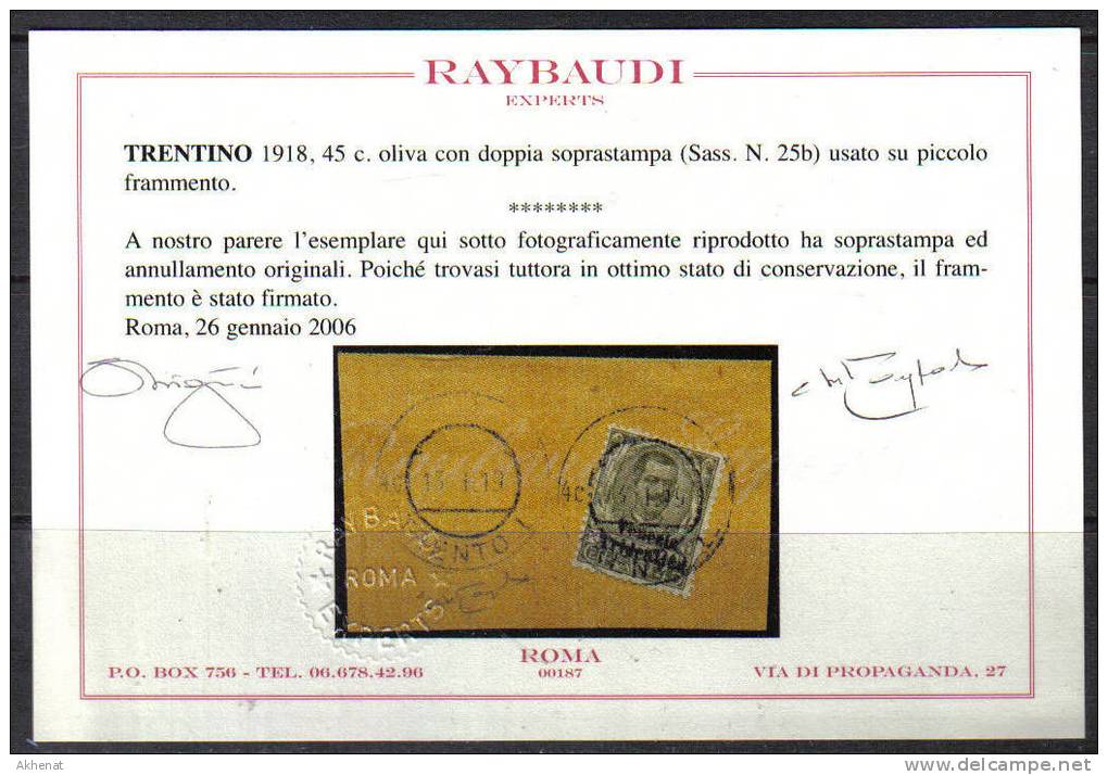 AV1B - TRENTINO ALTO ADIGE : 45 Cent Oliva N. 25  Su Piccolo Frammento. NON COMUNE . Cert RAY - Trente