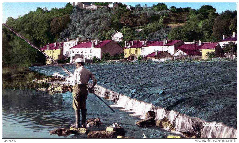 Dun Sur Meuse  La Meuse Et Le Deversoir 1950 Pecheurs A La Ligne - Dun Sur Meuse