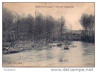 CPA. BRIENON.  Vue Sur L'Armançon.    (Animée)  1924.   (Très Rare) - Brienon Sur Armancon