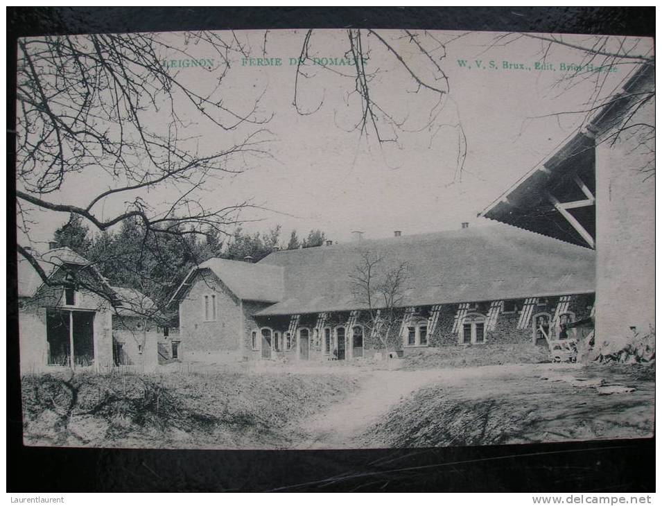 LEIGNON - Ferme Du Domaine - Ciney