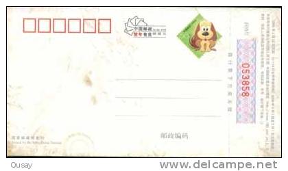 Cartoon, Bicycle, Bike , Pre-stamped Card , Postal Stationery - Wielrennen