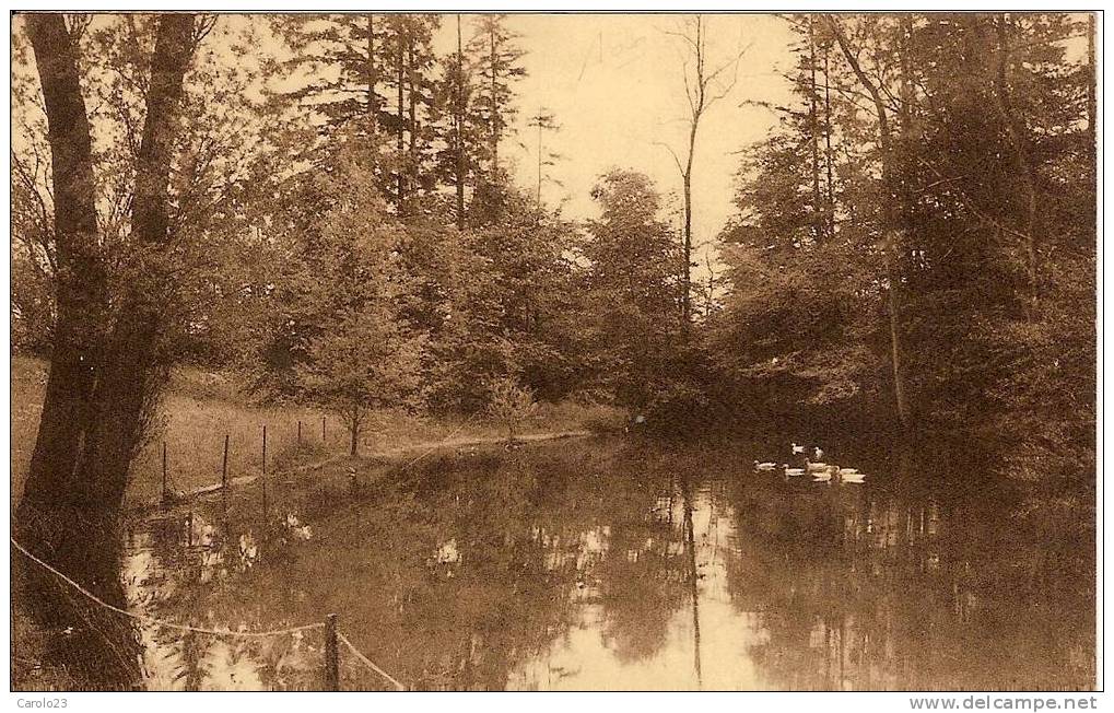 MARIEMBOURG  : INSTITUT N. D. DE LA BROUFFE    -  VUE  ETANG - Viroinval