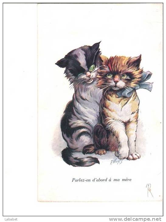 CHATONS PAR WUYTZ - Wuyts