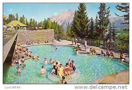 UPPER HOT SPRINGS POOL....THREE MILES FROM THE TOWN OF BANFF... - Banff