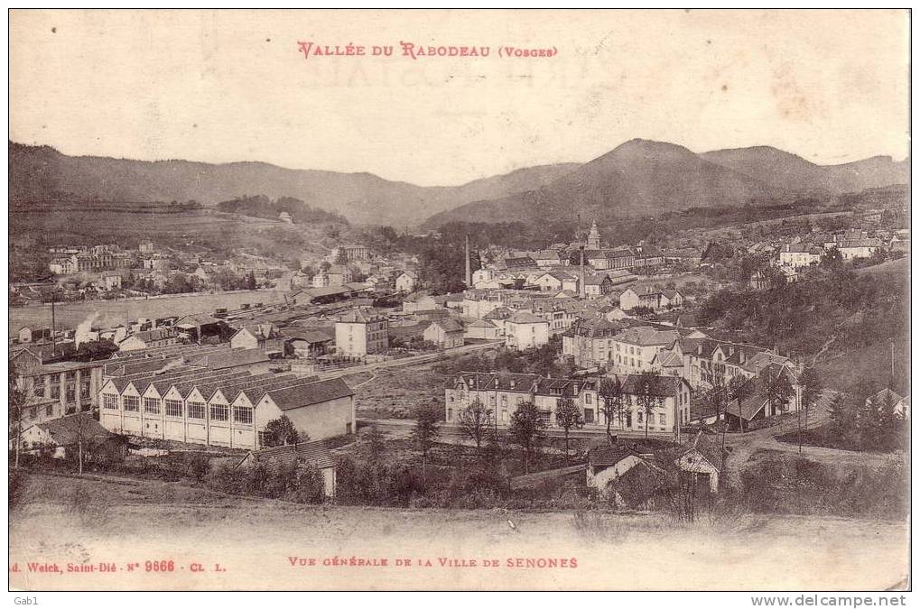 88 --- Vallee Du Rabodeau ..  VUE GENERALE  De La Ville De Senones - Senones