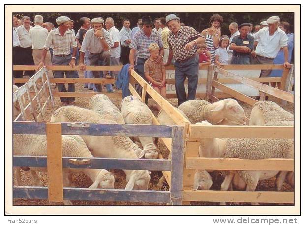 Saint Vincent Sur Jabron Foire Aux Agnelles Moutons Sheep - Ferias