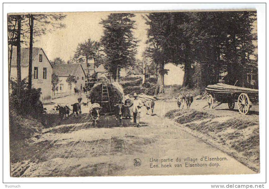 7165 - Une Partie Du Village D'Elsenborn - Butgenbach - Buetgenbach